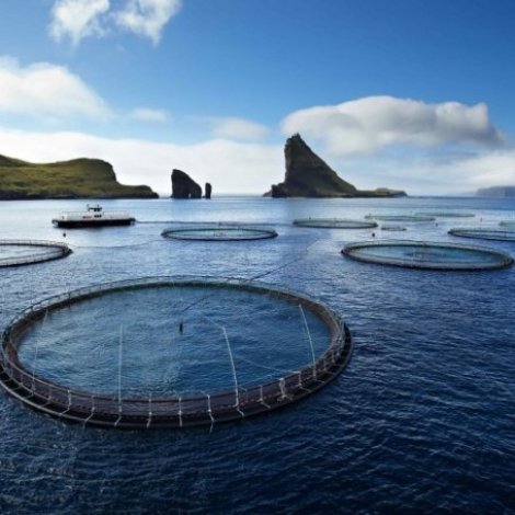 Starvsfólk til kantinuna á kryvji- og góðskingarvirkinum í Sørvági