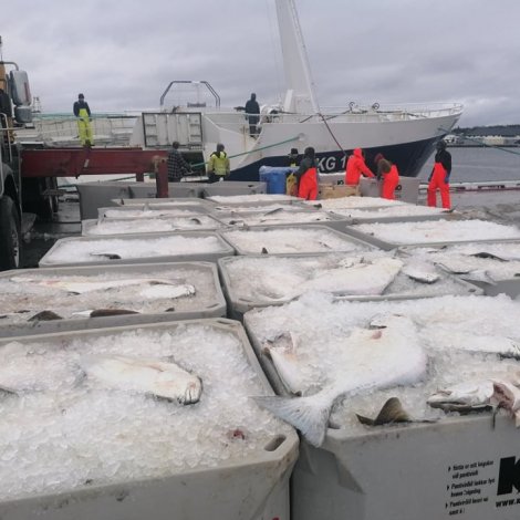 Borðoyarnes hevur havt góðan fiskiskap eftir kalva