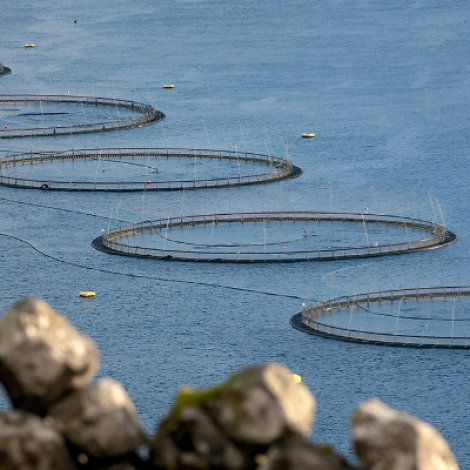 Nærum ein fjórðingur av vøruútflutninginum fer til Russlands