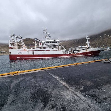 Birita landar í Fuglafirði seinnapartin