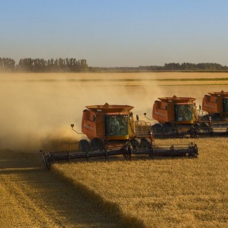 Hveiti er dýrari enn nakrantíð og Russland fær ágóðan