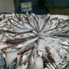 Vinnuligar fiskiroyndir: Seks umsøkjarar fingu part av svartkjaftakvotuni