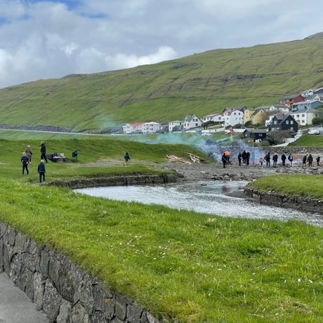 Skótalið Mikkjals á Ryggi virkið aftur