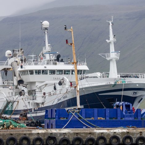 Tasiilaq landar í Fuglafirði