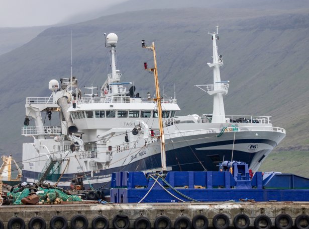 Tasiilaq (Savnsmynd: Sverri Egholm)