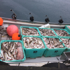 Fiskamarknaðurin metir um viku 22