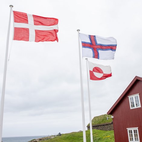 Ríkisfelagsskapurin á tímatalvuna í donskum skúlum