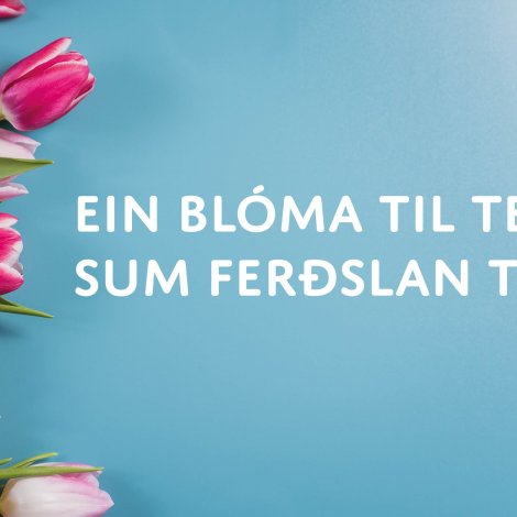 Ein blóma til tey, sum ferðslan tók