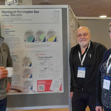 Føroysk gransking á ICES Decadal Symposium í Bergen