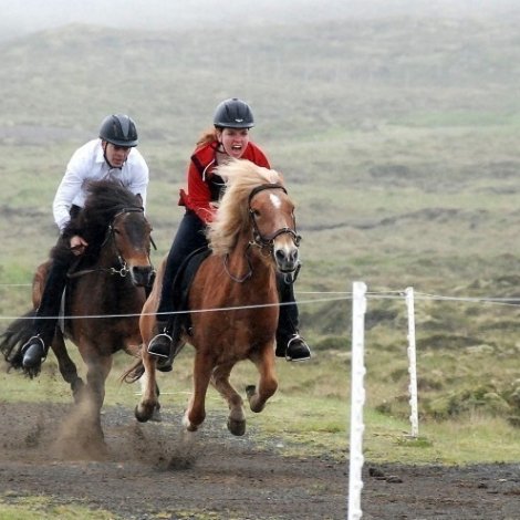 Kappríðing niðri við Vatn í kvøld