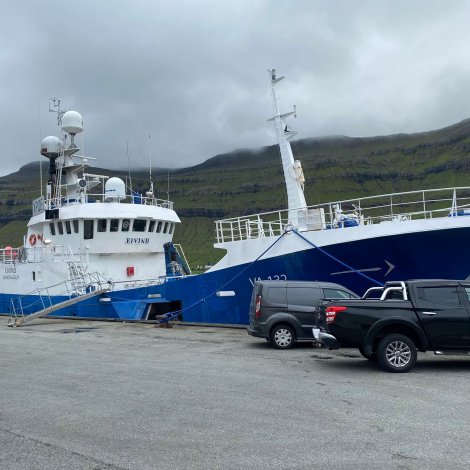 Eivind selur skøturavar á Fiskamarknaðinum