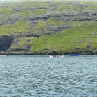 Beinleiðis stroyming: Barnaróður á Vestanstevnu