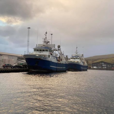 Bakur og Stelkur landaðu leygardagin