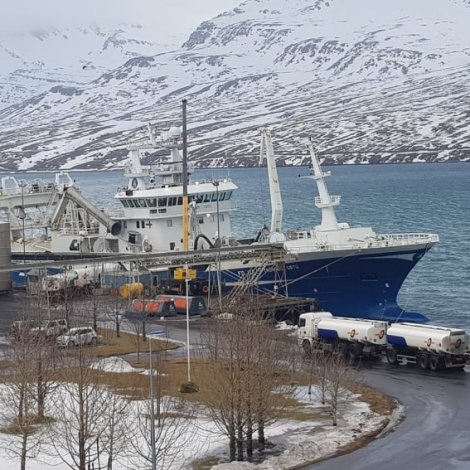 Høgaberg landar til Pelagos