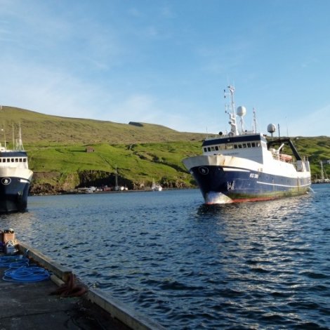 Fuglberg og Skoraberg landaðu á Kósini í gjár