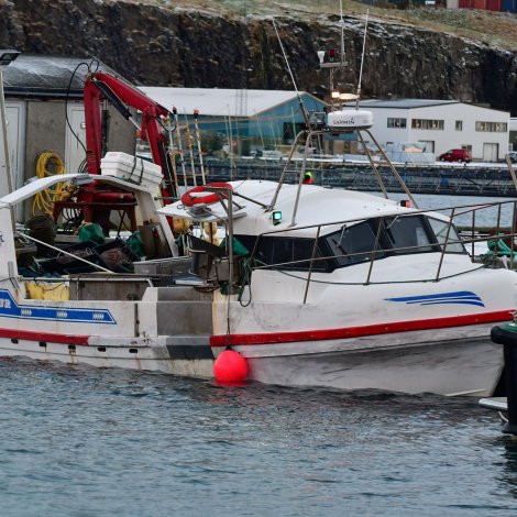 Nógvir útróðrarbátar selja á Fiskamarknaðinum