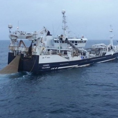 Fagraberg landar til Pelagos