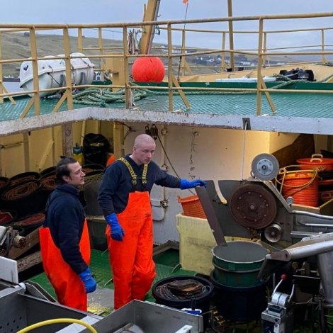 Útvið 60.000 pund av útróðrarfiski eru boðin út á Fiskamarknaðinum