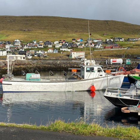 16 útróðrarbátar selja á Fiskamarknaðinum.