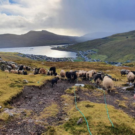 Myndir: Fjallgonga á Oknadali