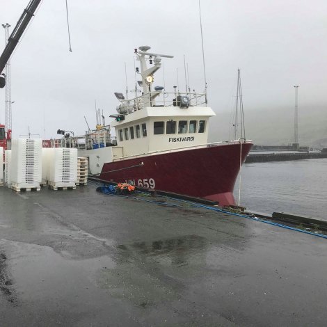 Fiskivarði hevur landað í Havn