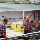 Umleið 20.000 pund av útróðrarfiski eru boðin út á Fiskamarknaðinum