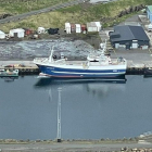 Sandshavið hevur gjørt ein roktúr við Ísland