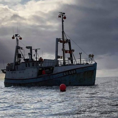 8 útróðrarbátar selja á Fiskamarknaðinum