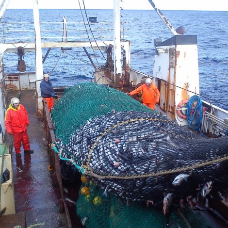 Ríkisfelagsskapurin valdi at atkvøða sum Rusland í fiskatvídrátti við ES