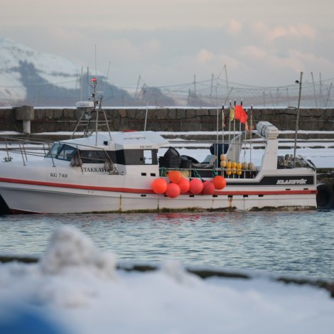 Nógvir útróðrarbátar selja á Fiskamarknaðinum