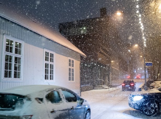 Tað er kavatíð, og harvið verða kavabløk nýtt á ymsan hátt. Tað er tó óvanligt, at vit hoyra um 