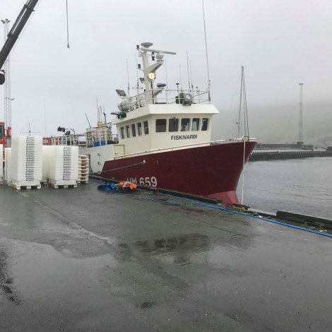 Fiskivarði landar í Havn