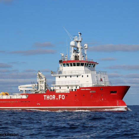 Jólaheilsan frá Thor Omega