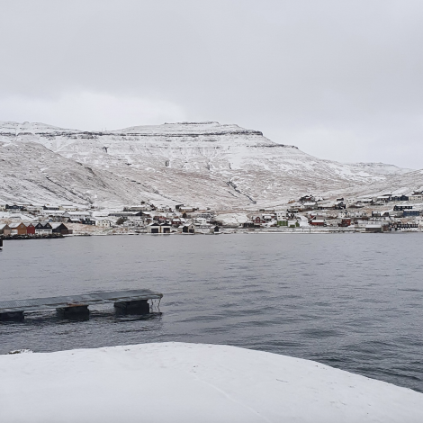 Jólaheilsan frá Thor