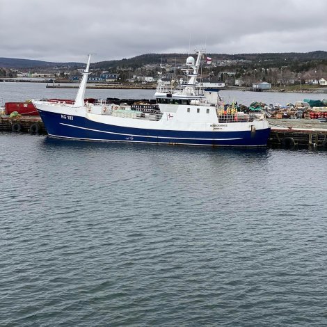 Toftamenn keyptu Borðoyarnes á tvang í morgun