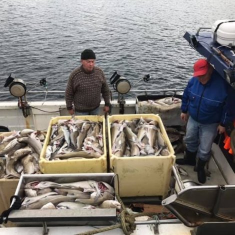 Seks útróðrarbátar selja á Fiskamarknaðinum