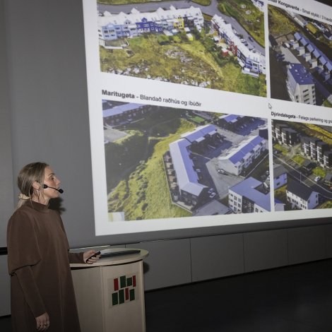 Royna at skipa útstykkingina á Argjahamri út frá verandi grannalagi