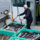 Nógvur útróðrarfiskur er boðin út á Fiskamarknaðinum