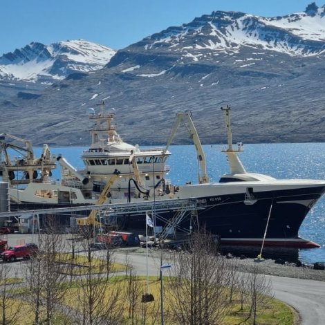 Gøtuskipini landa lodnu á Fáskrúðsfirði