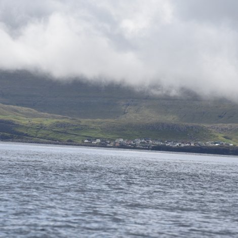 Saltinnihaldið metlágt í desembur