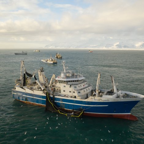 Norðborg hevur fiskað lodnukvotuna
