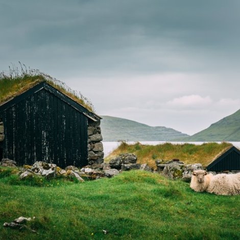 Søkt verður eftir gartnara til Vága kommunu