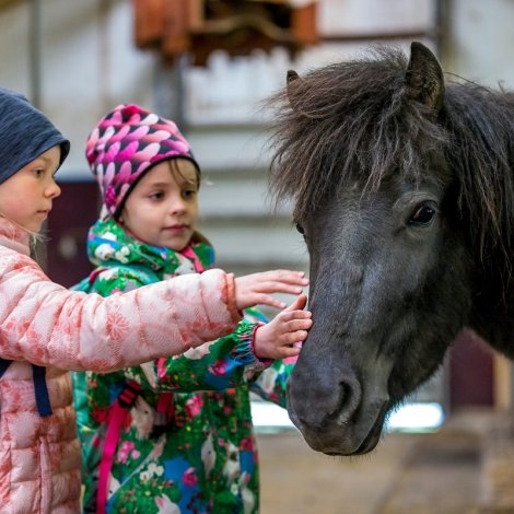 Fólkatalið vaks við 608 persónum seinasta árið