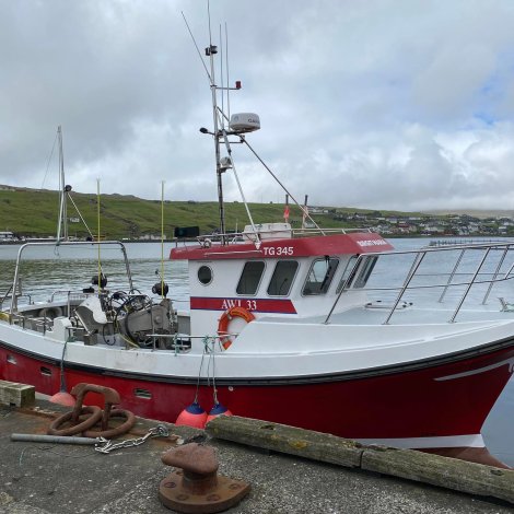 Nakrir útróðrarbátar selja á Fiskamarknaðinum