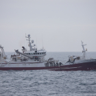 Birita landar makrel í Skagen