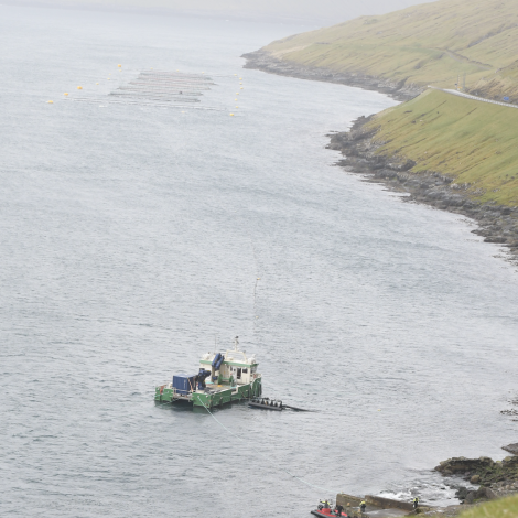 Hiddenfjord ger eina roynd, at seta smolt út í Vestmannasund í dag