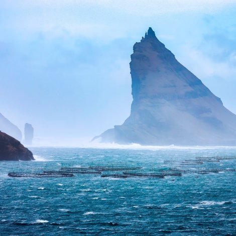 Fiskaaling fingið stuðul at menna amboð, ið vísir hvar bitlar frá alivirksemi enda