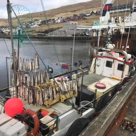 Nógvir útróðrarbátar selja á Fiskamarknaðinum