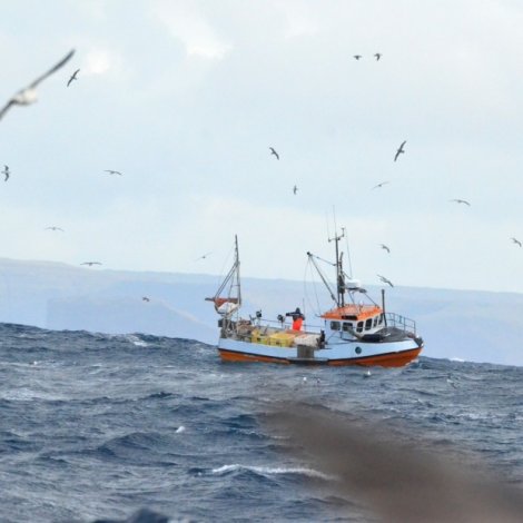 Nógvir útróðrarbátar selja á Fiskamarknaðinum