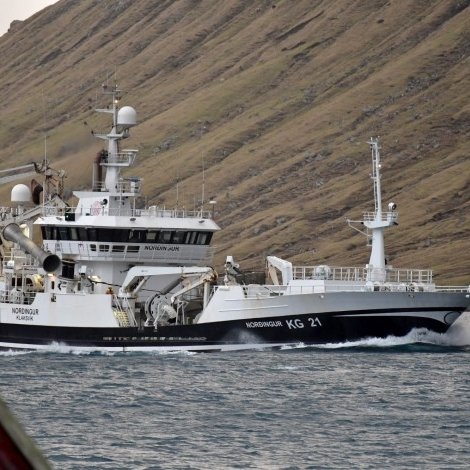 Norðingur er ávegis til Íslands at landa svartkjaft